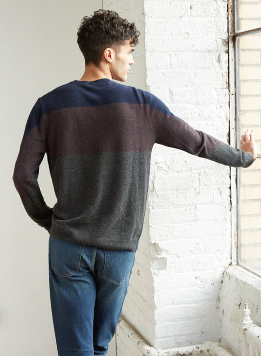 Autumn Cashmere Colorblock Slv/Back Stripe